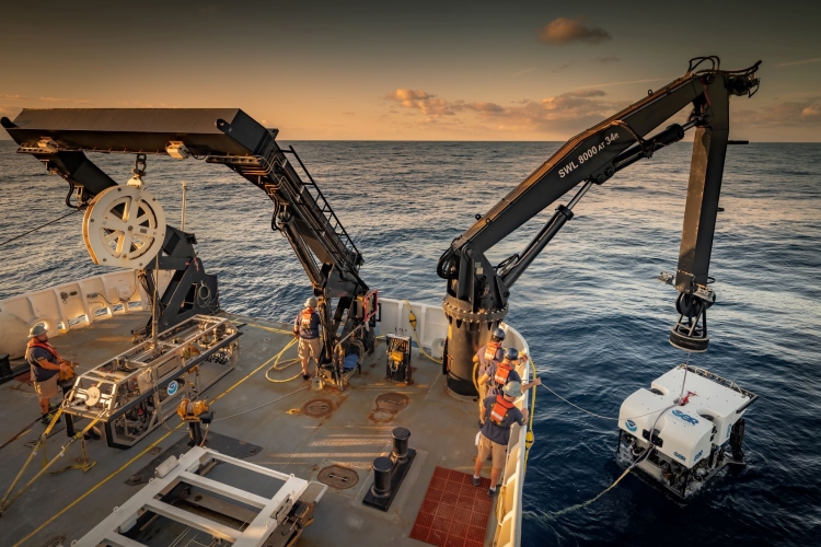 A team of onboard engineers launching remotely operated vehicle Deep Discoverer from the research vessel Okeanos Explorer. Credit: NOAA Ocean Exploration